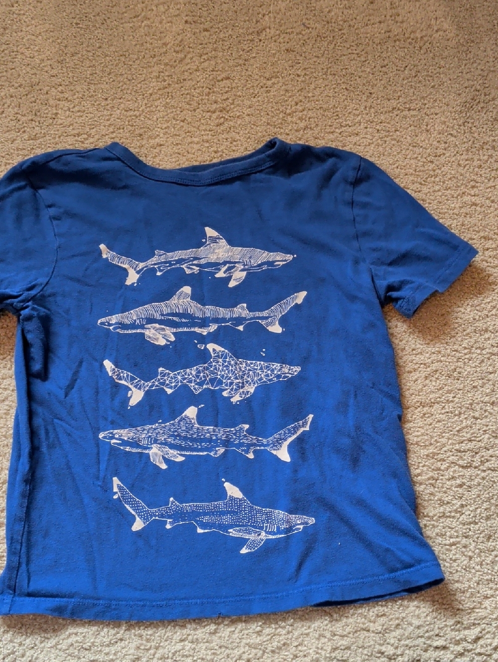 Kids Gap Blue Shark Graphic Tee